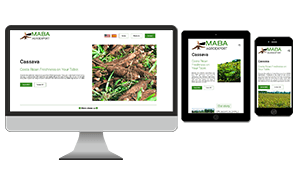 Maba Agroexport thumbnail